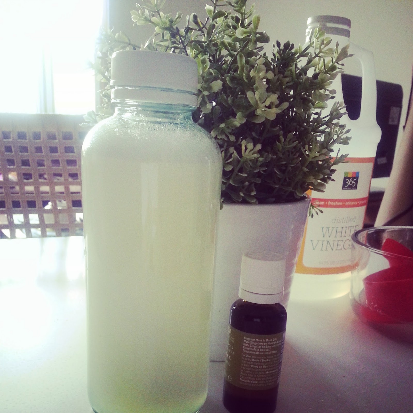 3004 Kitchen Back to Basic 天然洗潔精 Simple Homemade Natural Dish Soap